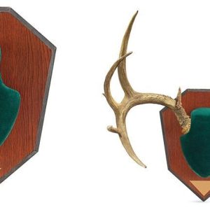 Allen Antler Mounting Kit - Green Skull