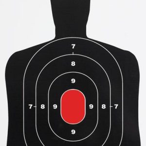 Birchwood Casey Dirty Bird BC27 Shadow Target 8/Pack