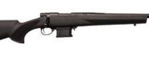 HTI STOCK MAG KIT .223 REM 10+1 22IN BBL BLK THREADED