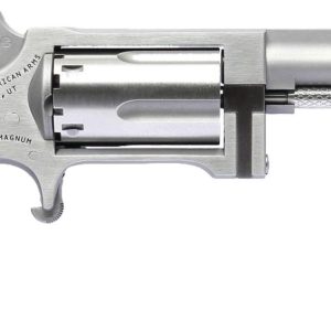 NAA SIDEWINDER 2.5" BRL 22M/22LR MINI REV