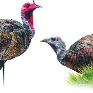 Montana DecoyCo PurrFect Pair XD Turkey Combo