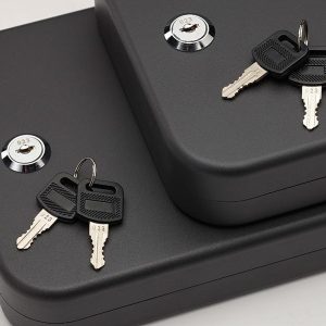 Snap Safe XX-Large Lockbox- 2/pack keyed Alike.