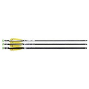 TenPoint EVO-X CenterPunch Lighted Alpha-Blaze Carbon Arrows 20" 3 Pack