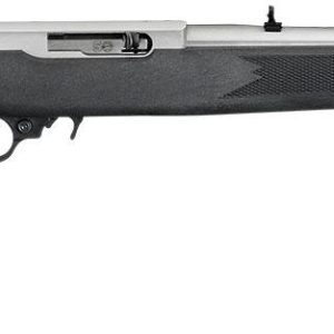 10/22 CARBINE 22 LR AUTOLOADING RIFLE 18.5 BBL STS/COMP STOCK