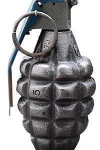 Tru-Spec Dummy Grenade - Pineapple